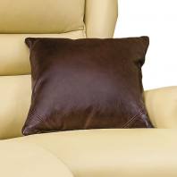1606994091leathercushion.jpg